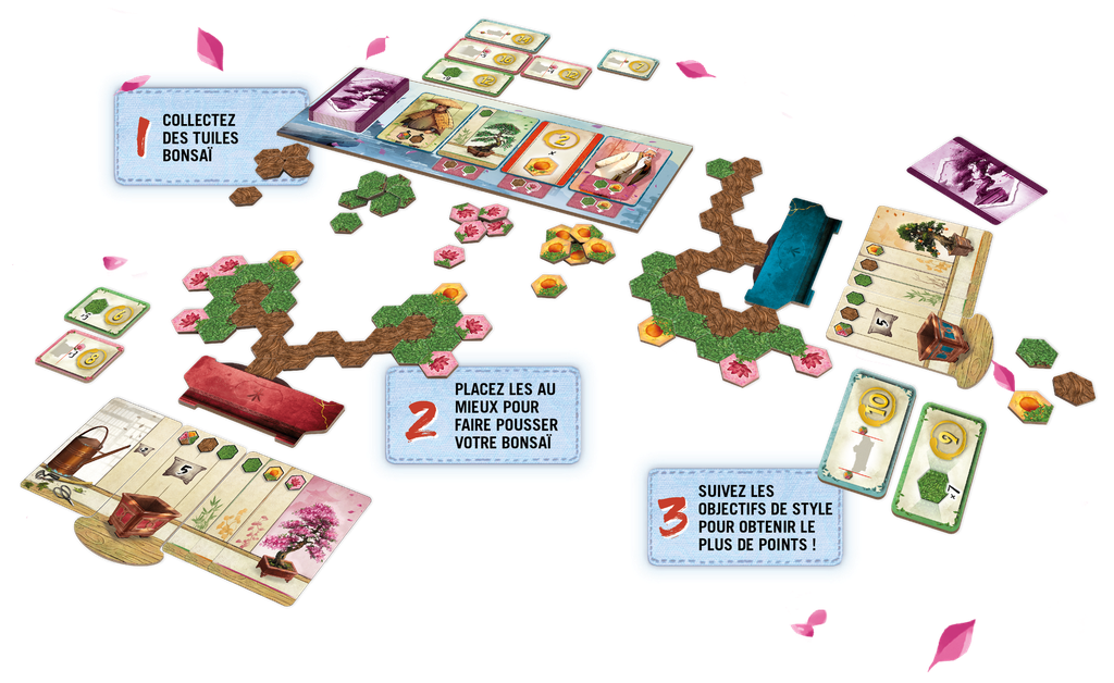 Matériel du jeu Bonasi