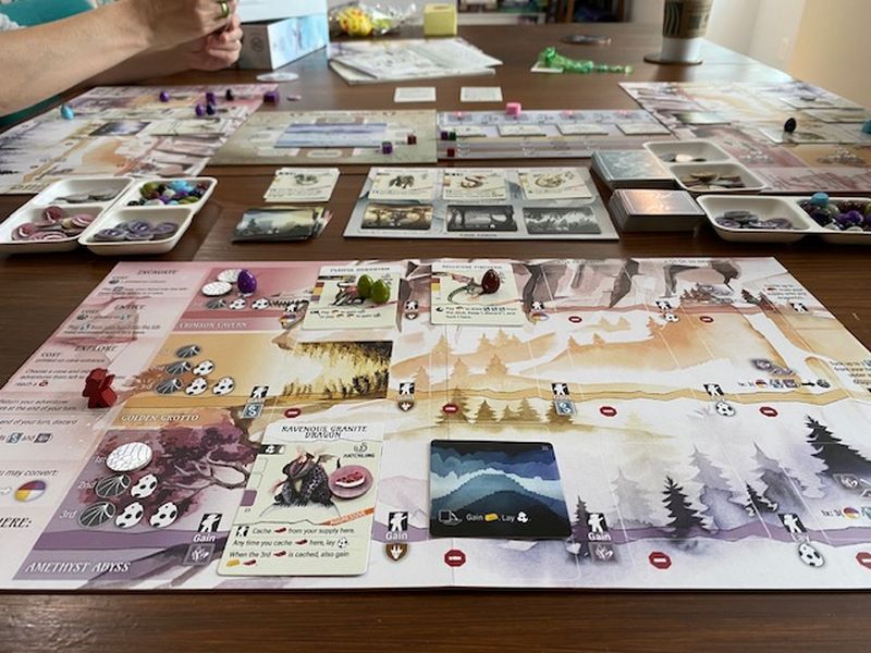 matériel du jeu Wyrmspan en Français