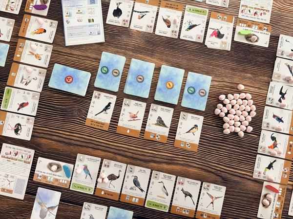 matériel du jeu Wingspan Pocket en français