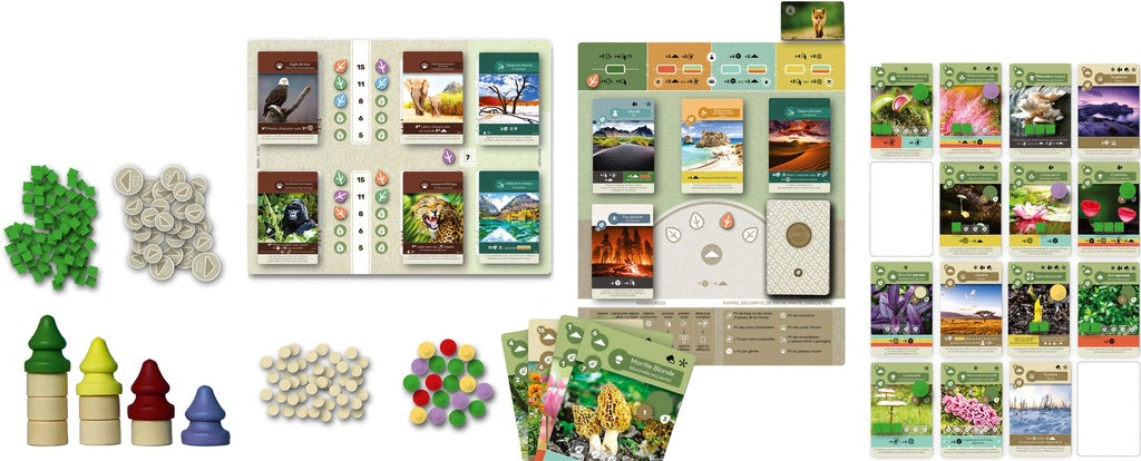 Matériel du jeu Earth