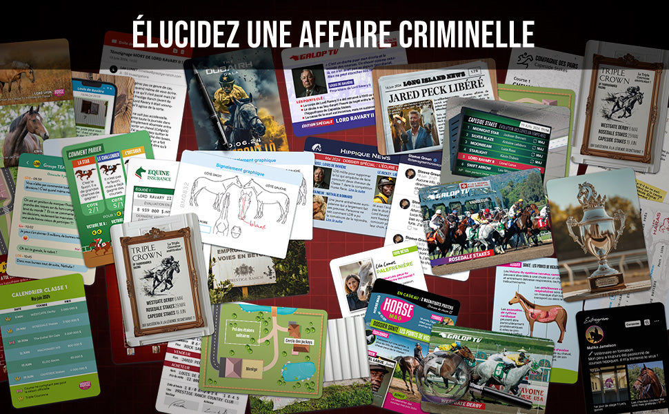 Matériel du jeu Dossier criminel, Qui a tué Lord ravary II en français